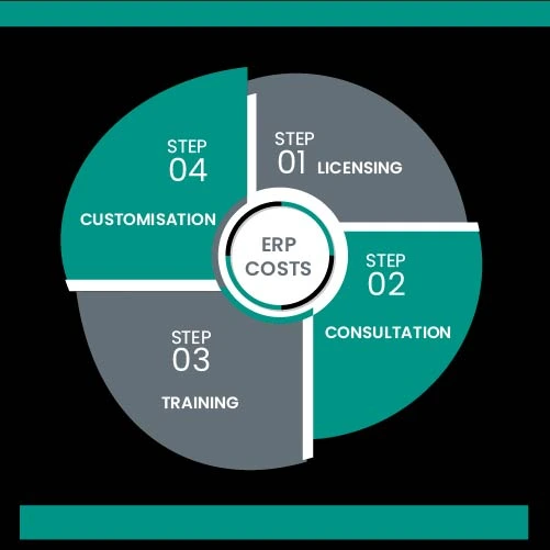 Visual breakdown of ERP costs (licensing, consultation, training, customisation) shown in a segmented pie chart or infographic.